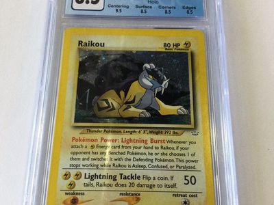 Pokémon Raikou Card. #E75012794