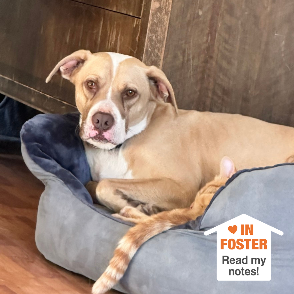 Hello my name is Bodie