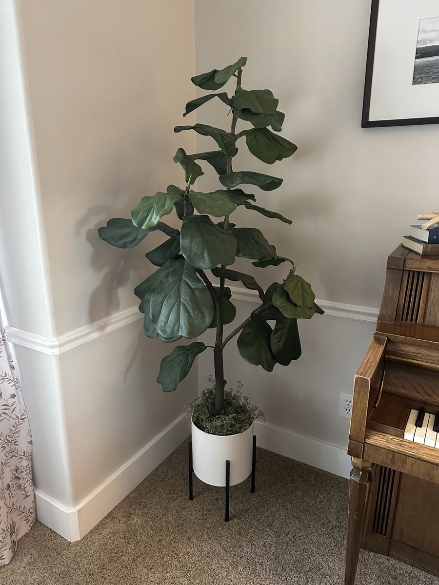 Fantastic Faux Fiddle Leaf Fig Tree - 5ft