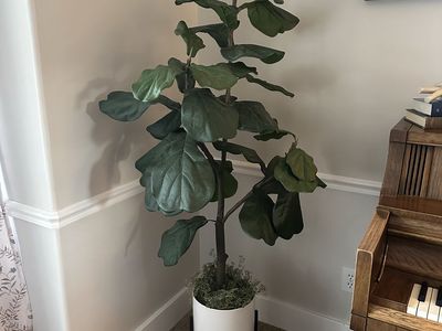 Fantastic Faux Fiddle Leaf Fig Tree - 5ft