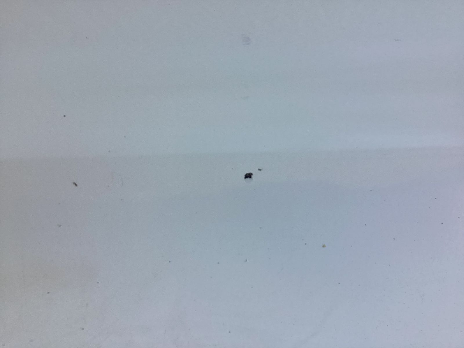 Main image 4