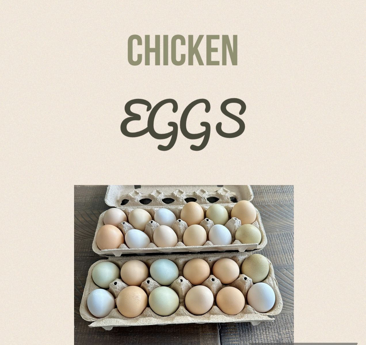 Chicken & Some Duck Eggs