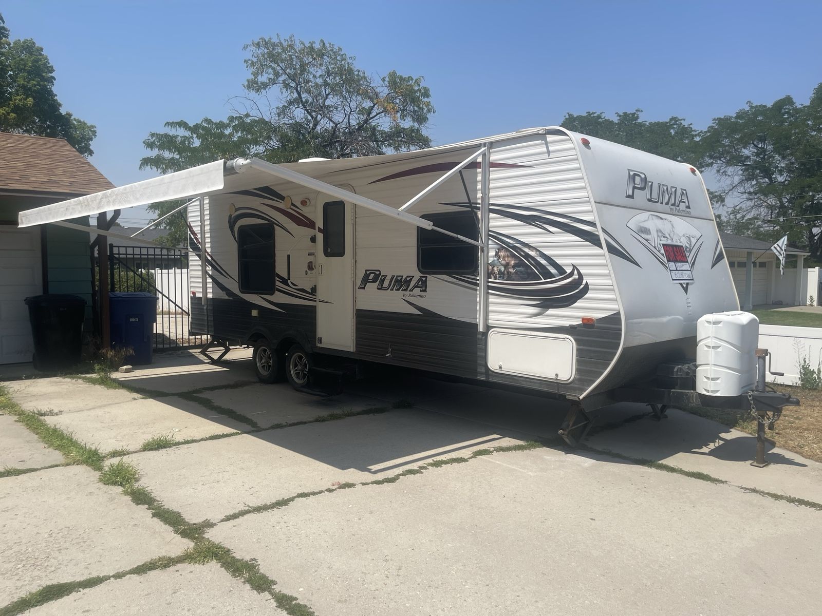 23’ Palomino Puma