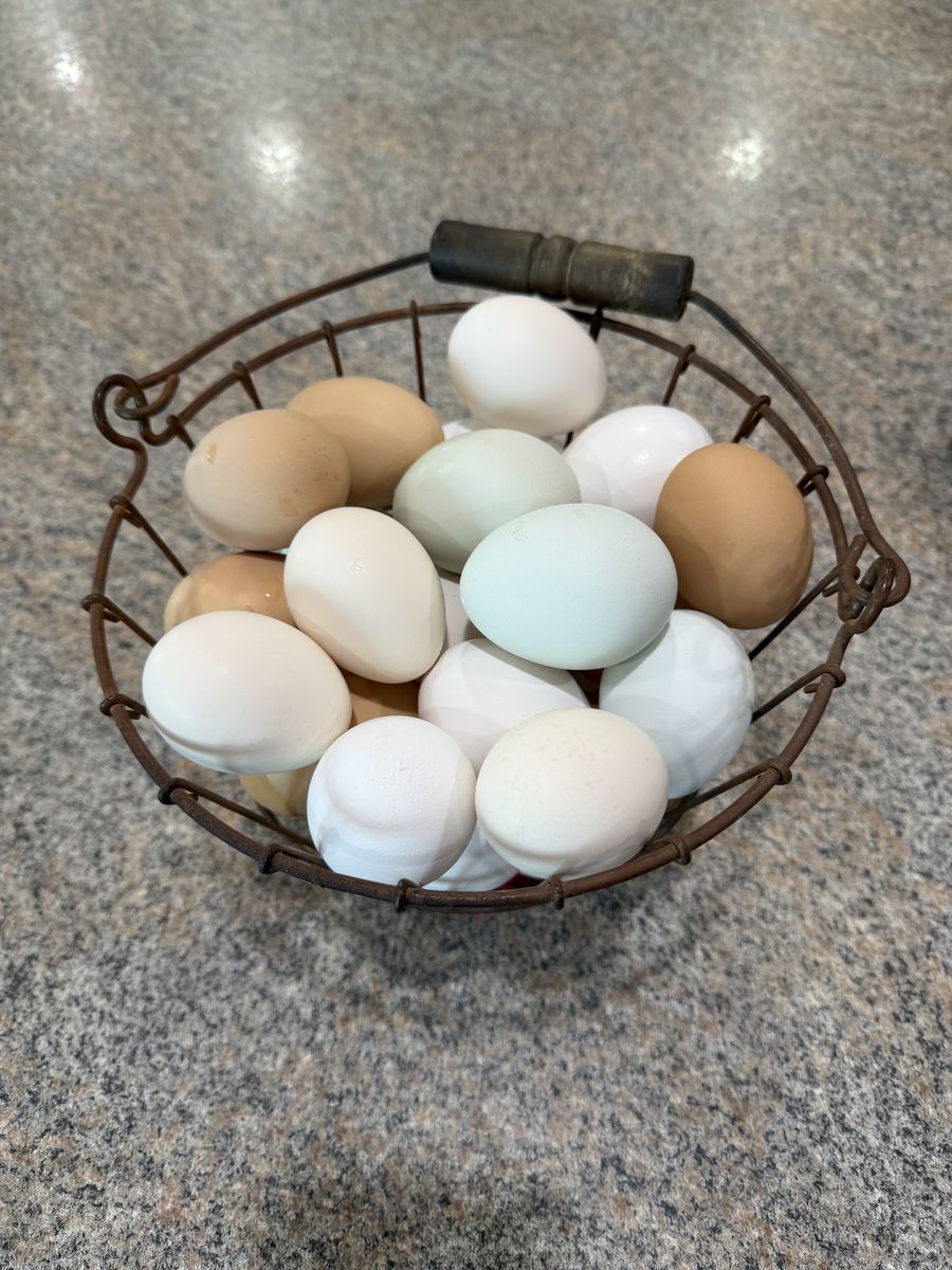 Farm fresh eggs