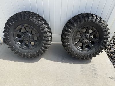 30 x 11.50 x 15” rims Polaris Expedition Tires and Rims