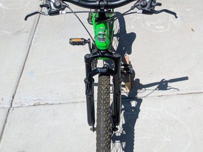 24" Schwinn Sidewinder