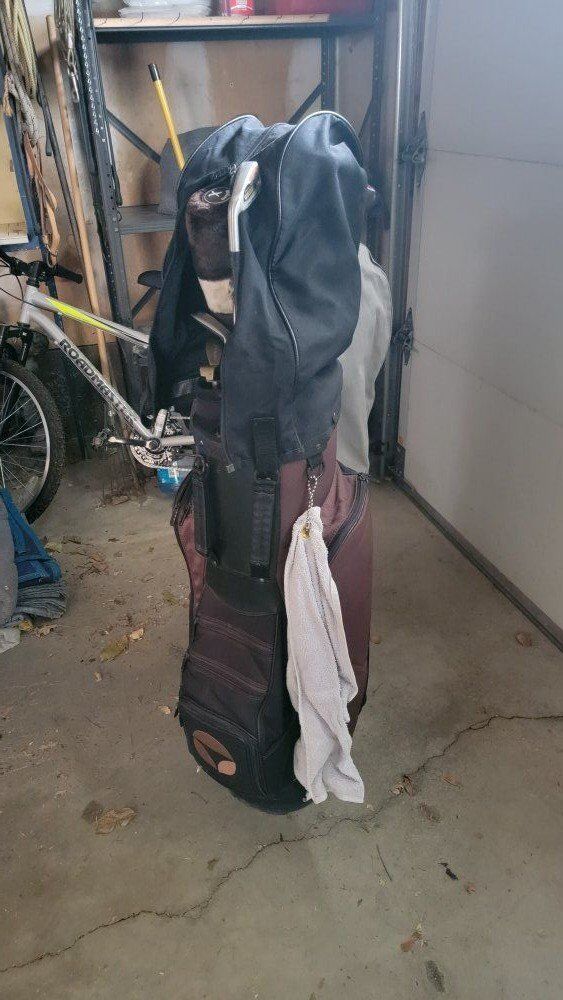 Men's golf club set and bag