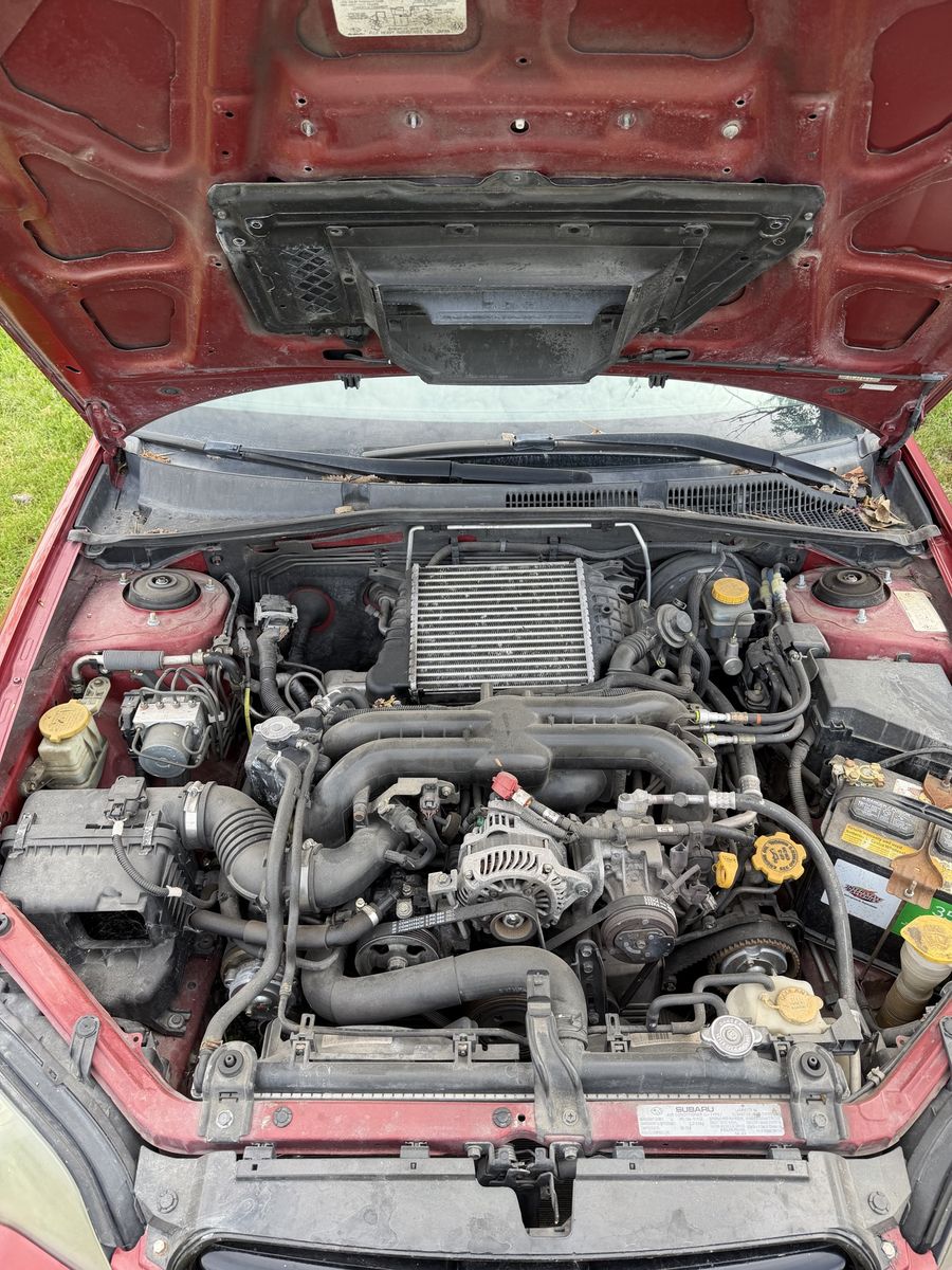 Main image 11