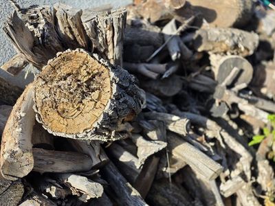 FREE FIRE WOOD