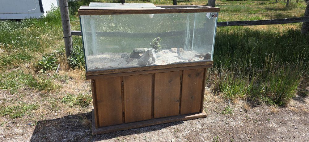 Large Glass Terrarium / Aquarium with Wooden Stand - 48"L x 18"W x 21"H
