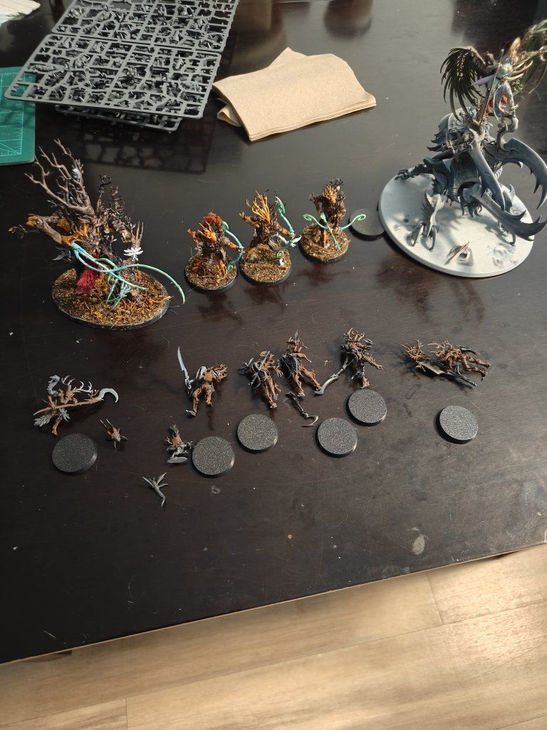 Warhammer AOS sylvaneth lot