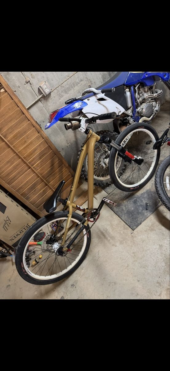 Gt ruckus dirt jumper