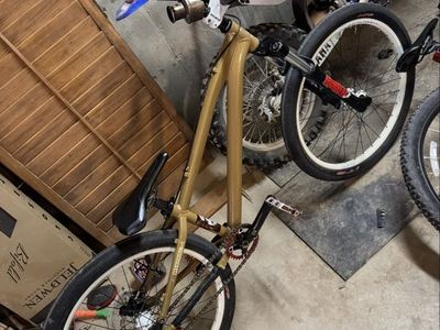 Gt ruckus dirt jumper