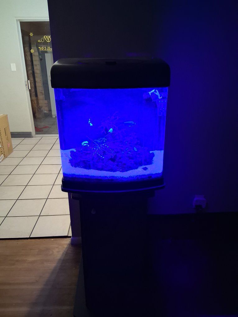 aquarium