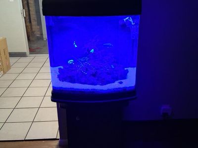 aquarium
