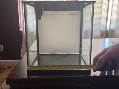 Small Aquarium Fish Tank with Filter, Gravel, and Decorations - Complete Starter Kit