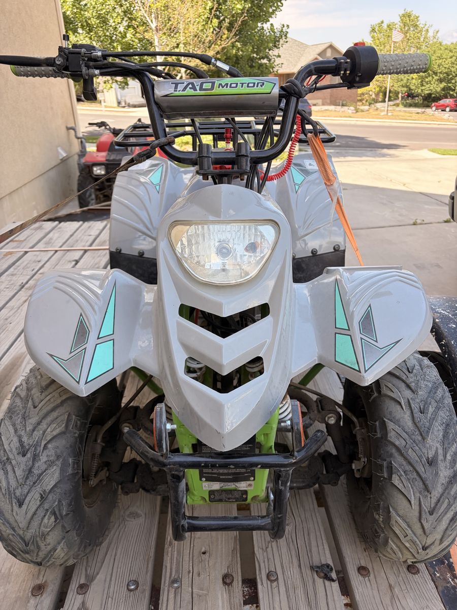Tao Motor Boulder 110cc Kids ATV - Gray/Green, Electric Start, Automatic Transmission