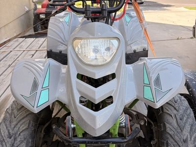 Tao Motor Boulder 110cc Kids ATV - Gray/Green, Electric Start, Automatic Transmission