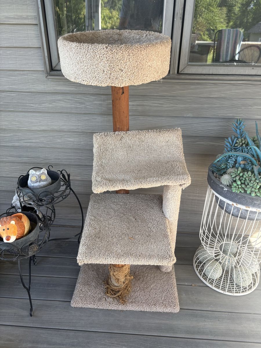 Carpeted Cat Tree with Multiple Levels and Scratching Post