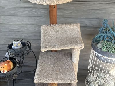 Carpeted Cat Tree with Multiple Levels and Scratching Post