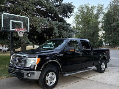 2013 Ford F-150 XLT