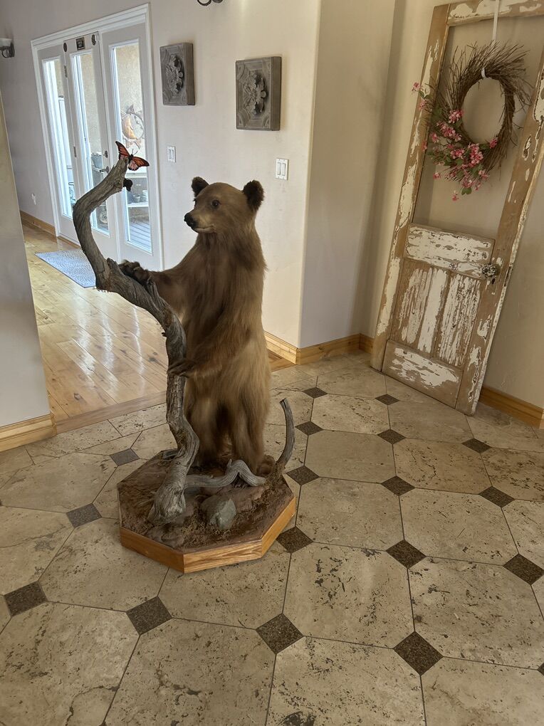 Small Bear Mount Make Offer