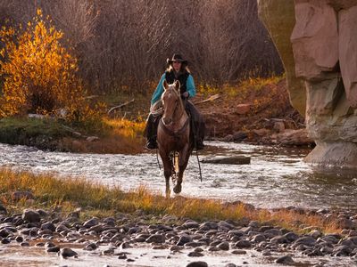 5 Year Old Mare - Ranch/Trail Horse