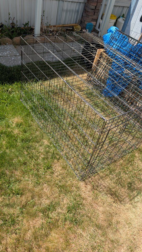 large Dog kennel