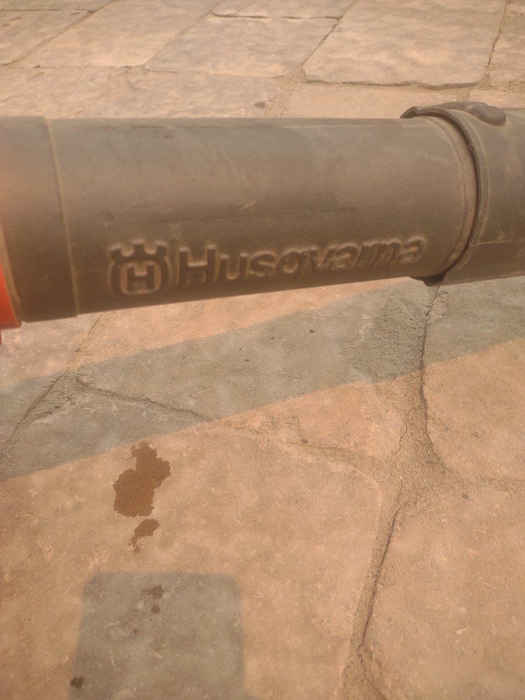 Main image 6