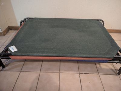 Coolaroo Elevated Dog Bed - Large (43" x 32") - Sturdy & Easy to Clean