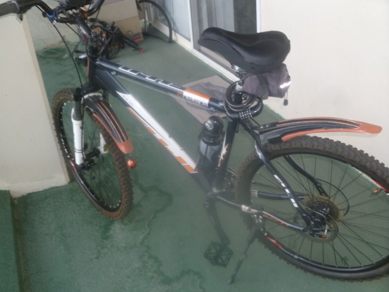 26 in Fuji 1.0 Nevada