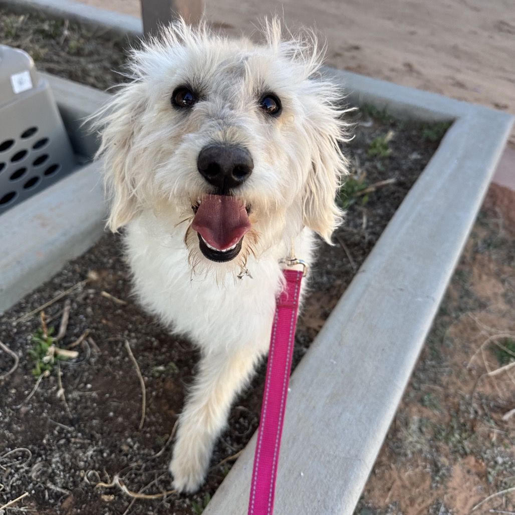 Hello my name is Guilly