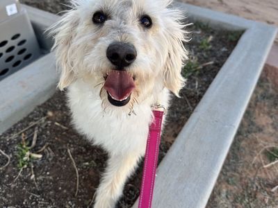 Hello my name is Guilly