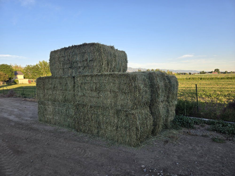 Main image 2