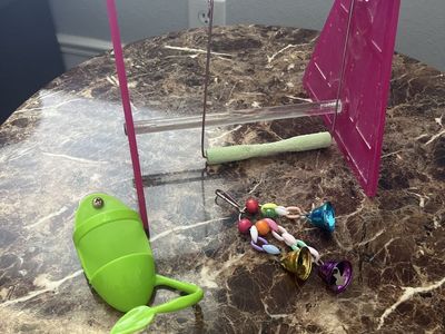 Assorted Bird Cage Accessories: Perches, Swings, Feeder, & Bell Toys