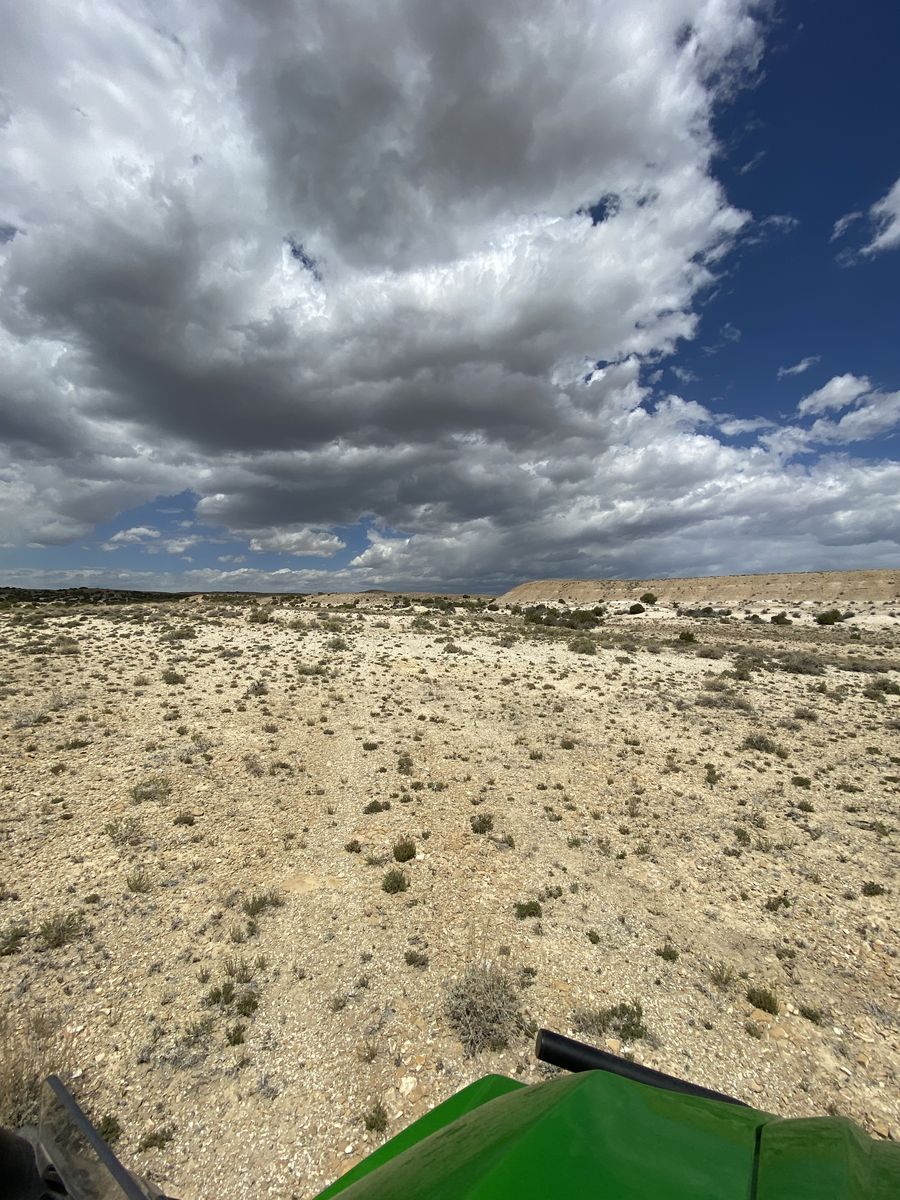 Main image 11