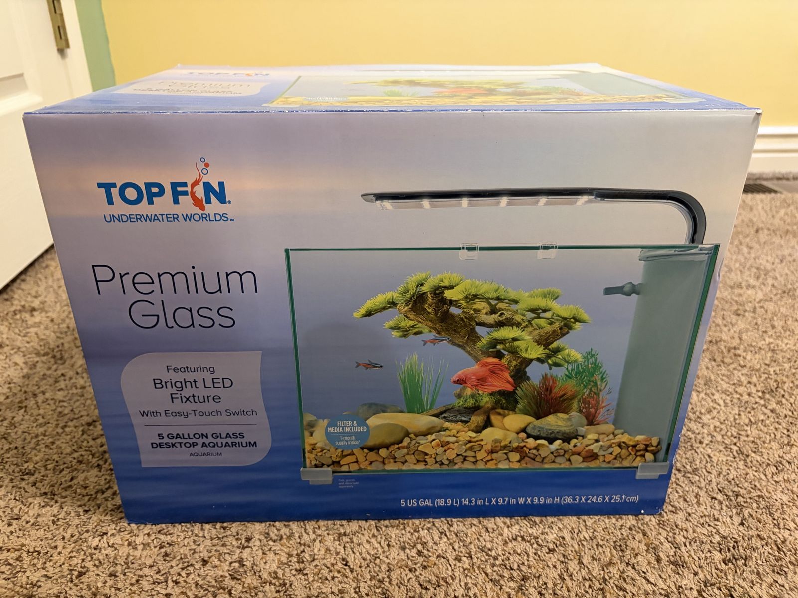 Top Fin Premium Glass 5 Gallon Desktop Aquarium Kit with LED Light & Filter