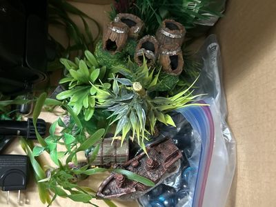 Lil decors for the fish tank