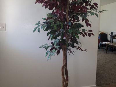 Decorative Tree