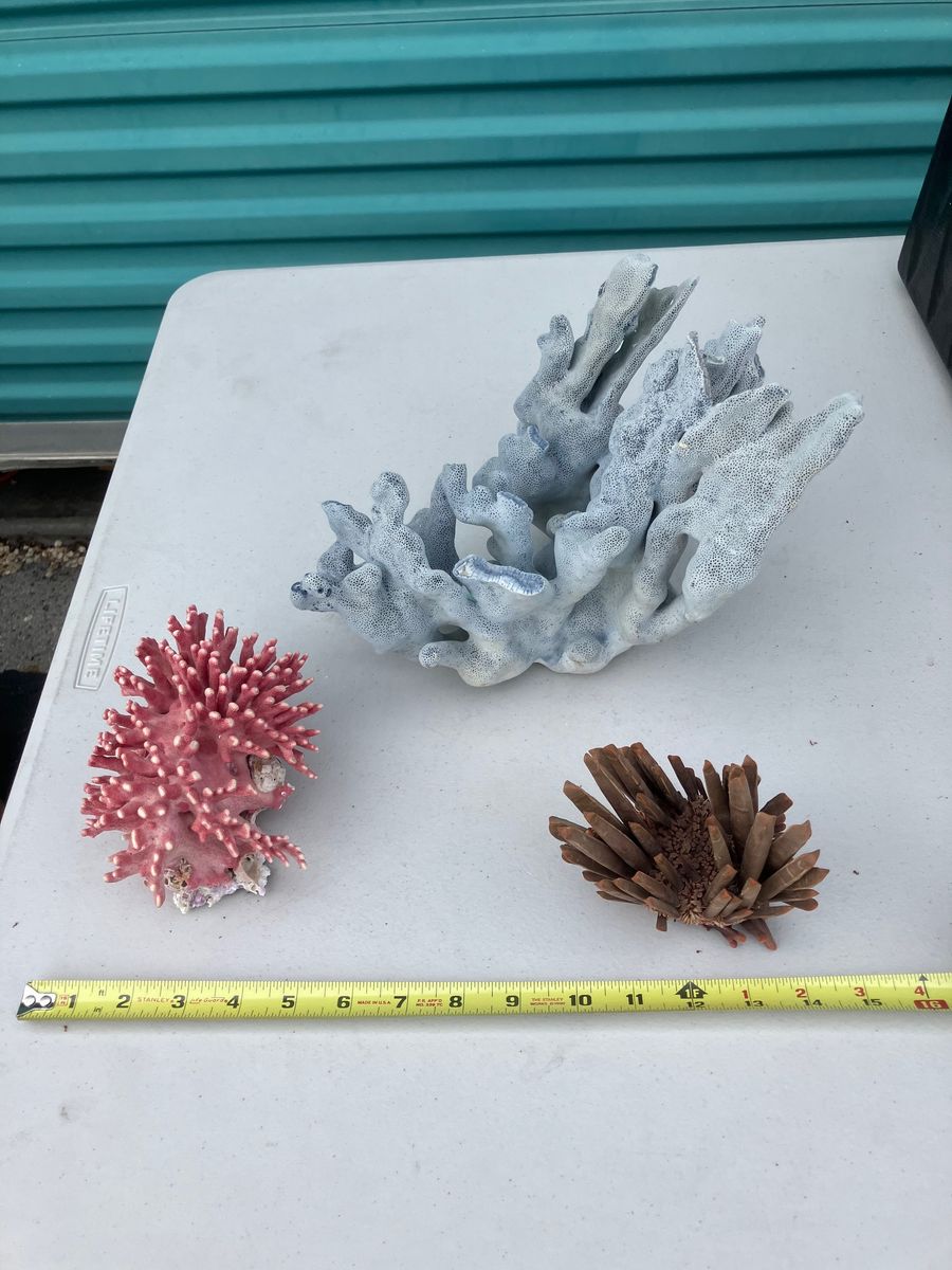 Red or Blue Coral or Pencil Urchin
