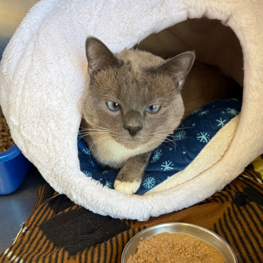 Hello my name is Clint Barton