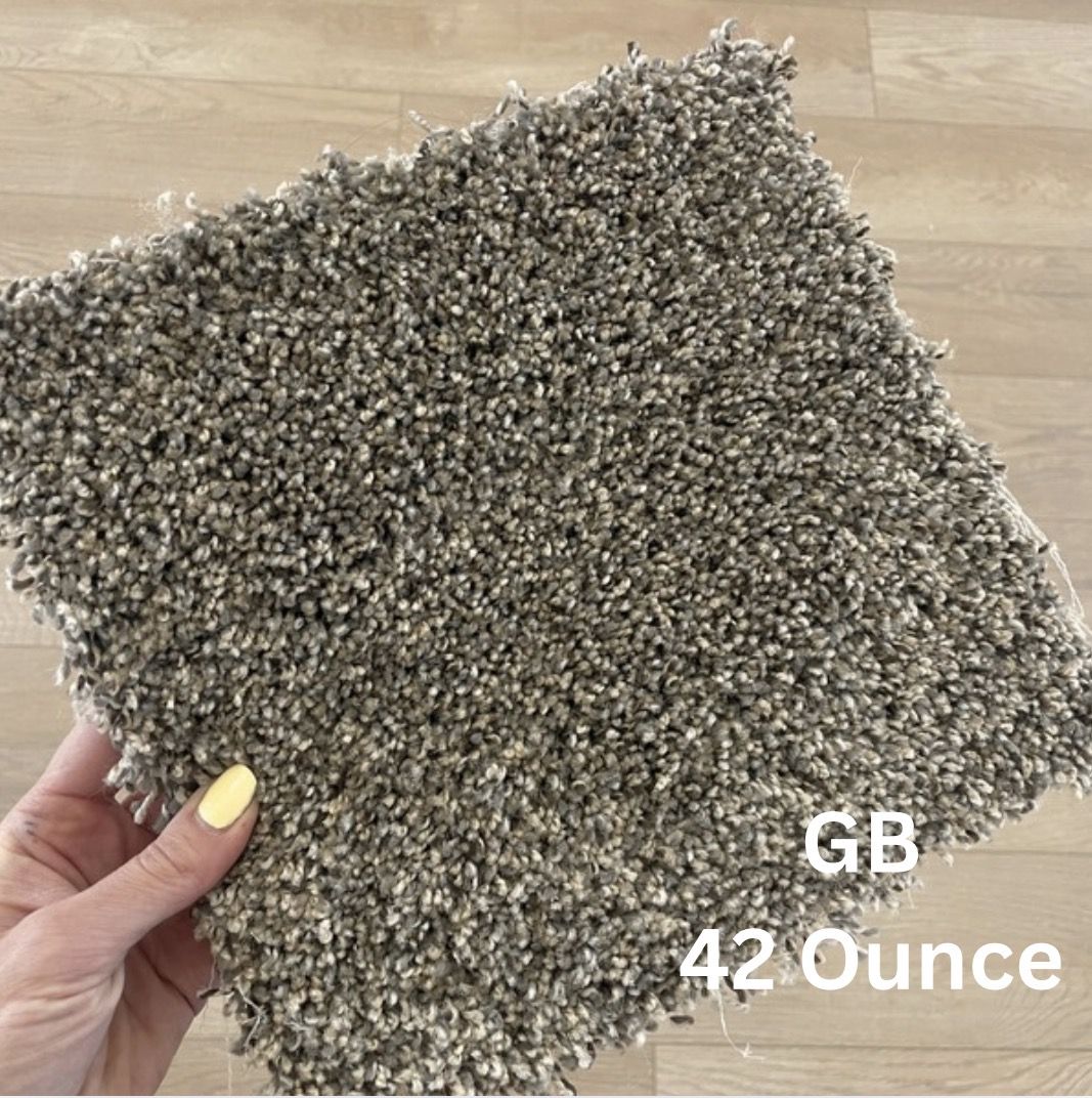 $1 Carpet!