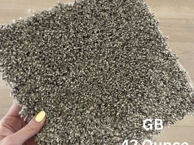 $1 Carpet!