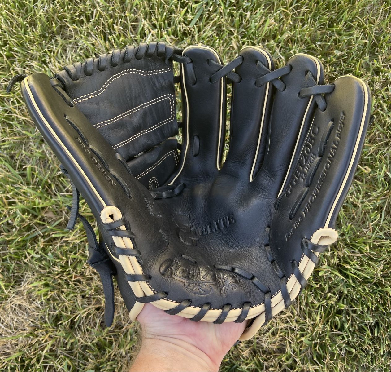 Rawlings Gold Glove Elite 12 in. Baseball Glove