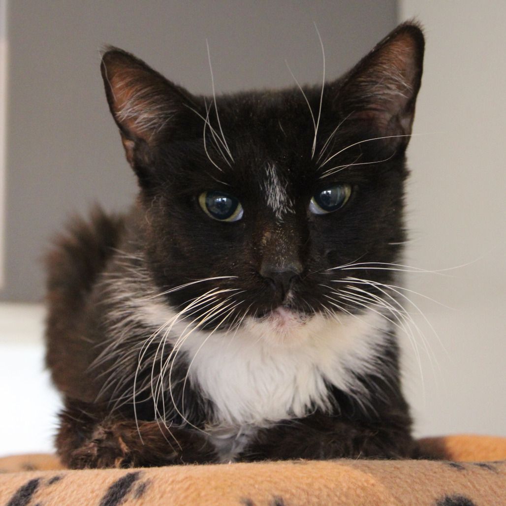 Hello my name is Nannie