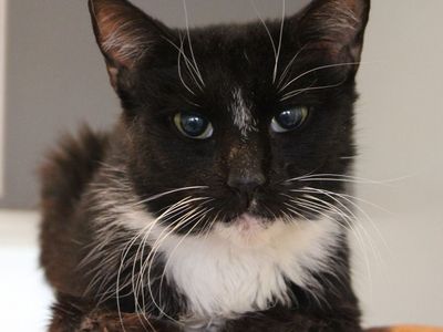 Hello my name is Nannie