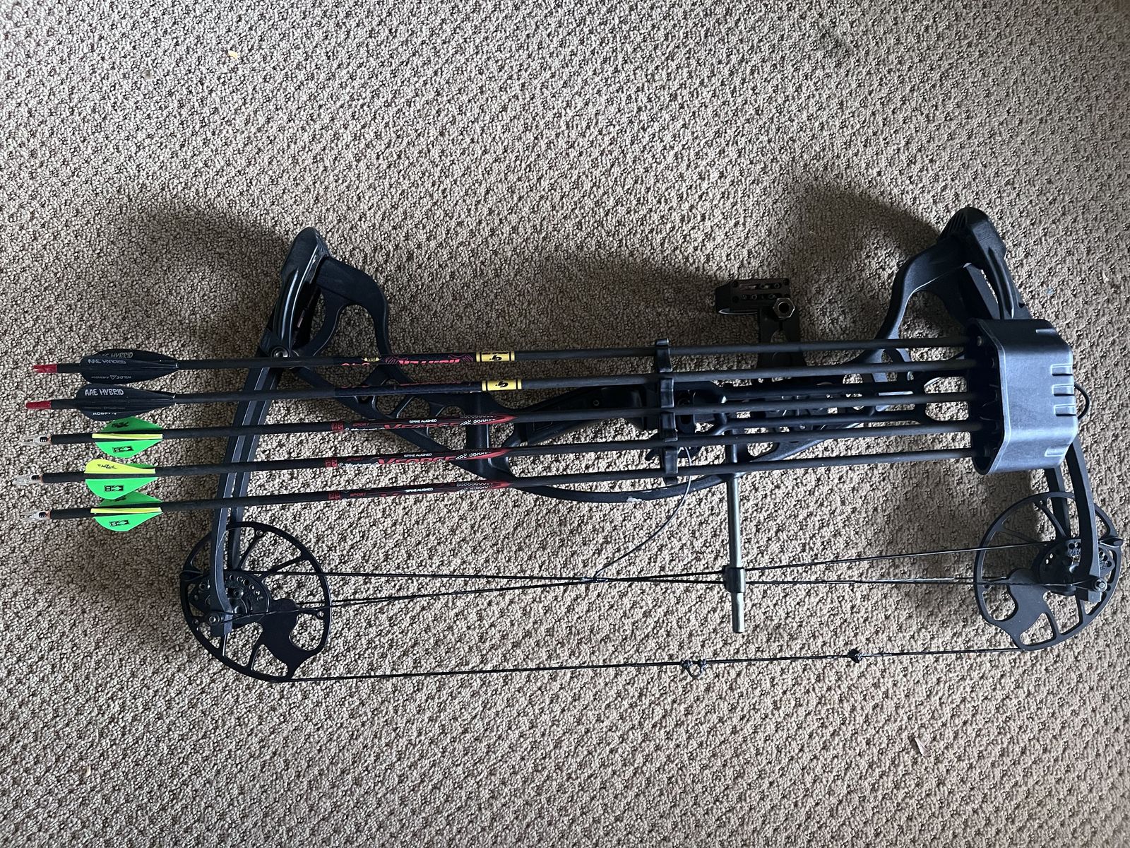 Hoyt Ignite