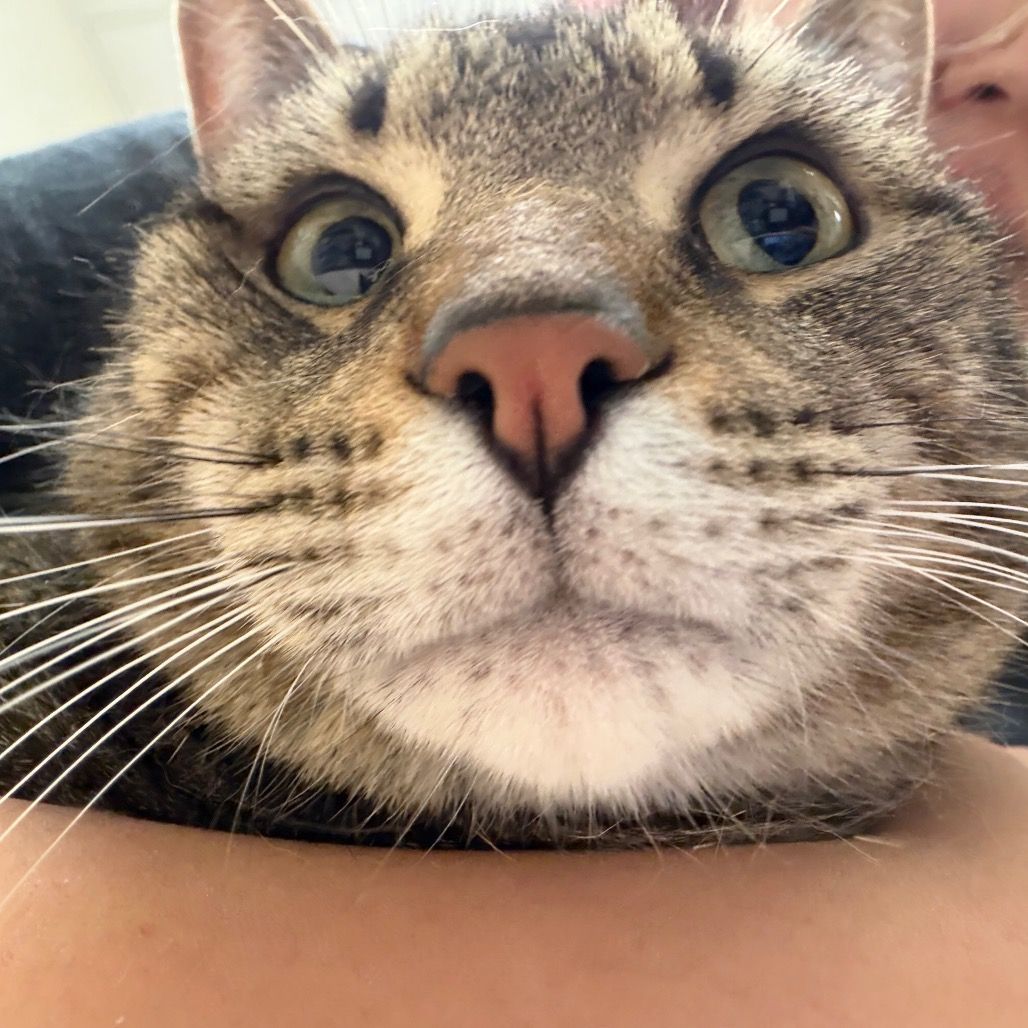 Hello my name is Zinc