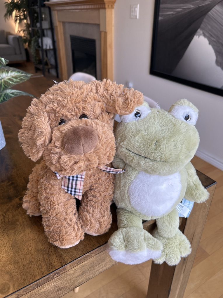 Stuffed Animales / Teddy Bears Each $5.