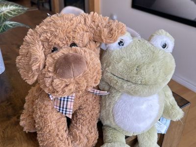 Stuffed Animales / Teddy Bears Each $5.